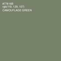#77816B - Camouflage Green Color Image