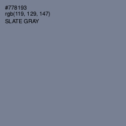 #778193 - Slate Gray Color Image