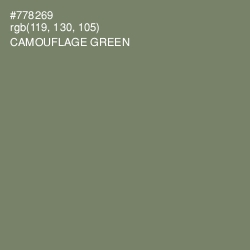 #778269 - Camouflage Green Color Image