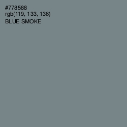 #778588 - Blue Smoke Color Image