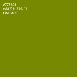 #778801 - Limeade Color Image