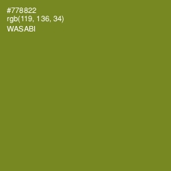 #778822 - Wasabi Color Image