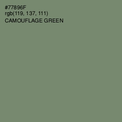 #77896F - Camouflage Green Color Image