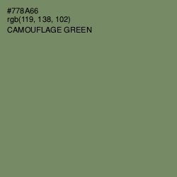 #778A66 - Camouflage Green Color Image