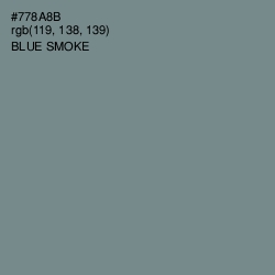 #778A8B - Blue Smoke Color Image