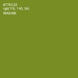 #778C22 - Wasabi Color Image