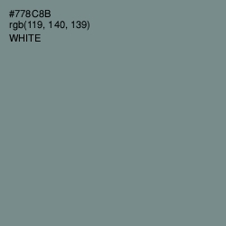 #778C8B - Blue Smoke Color Image