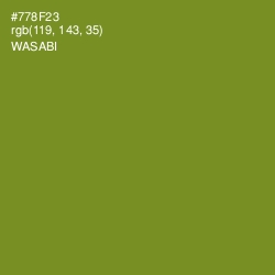 #778F23 - Wasabi Color Image