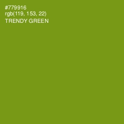 #779916 - Trendy Green Color Image