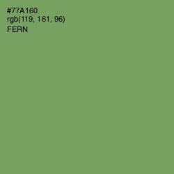 #77A160 - Fern Color Image