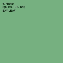 #77B080 - Bay Leaf Color Image