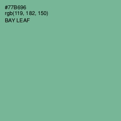 #77B696 - Bay Leaf Color Image