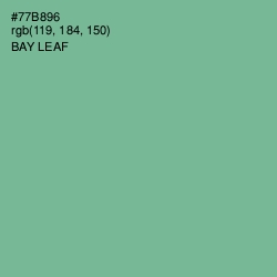 #77B896 - Bay Leaf Color Image