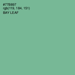 #77B897 - Bay Leaf Color Image