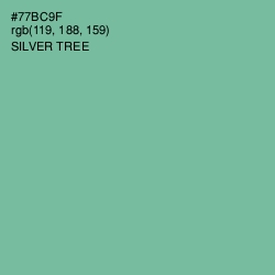 #77BC9F - Silver Tree Color Image