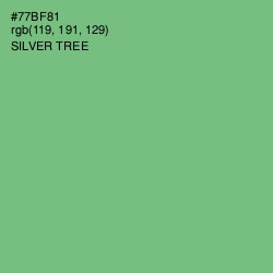 #77BF81 - Silver Tree Color Image
