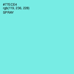 #77ECE4 - Spray Color Image