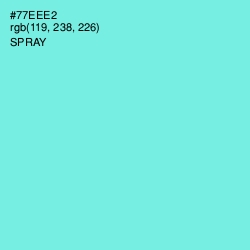 #77EEE2 - Spray Color Image