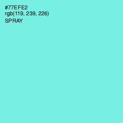 #77EFE2 - Spray Color Image