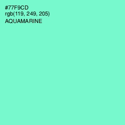 #77F9CD - Aquamarine Color Image