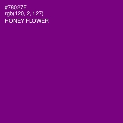 #78027F - Honey Flower Color Image