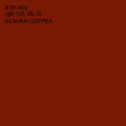 #781A03 - Kenyan Copper Color Image