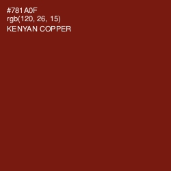 #781A0F - Kenyan Copper Color Image