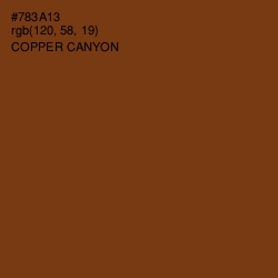 #783A13 - Copper Canyon Color Image