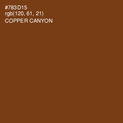 #783D15 - Copper Canyon Color Image