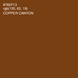 #783F13 - Copper Canyon Color Image