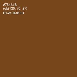 #78461B - Raw Umber Color Image