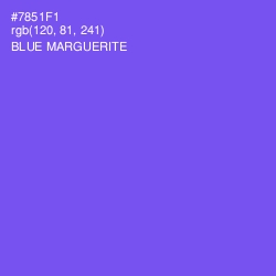 #7851F1 - Blue Marguerite Color Image