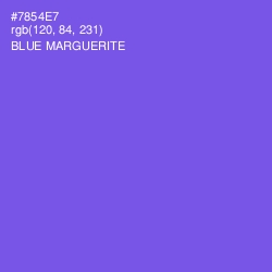 #7854E7 - Blue Marguerite Color Image