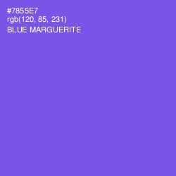 #7855E7 - Blue Marguerite Color Image