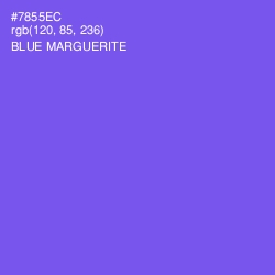 #7855EC - Blue Marguerite Color Image