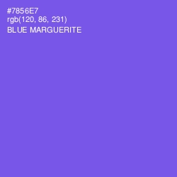 #7856E7 - Blue Marguerite Color Image