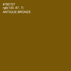 #785707 - Antique Bronze Color Image