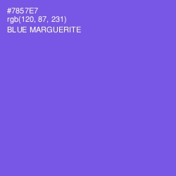 #7857E7 - Blue Marguerite Color Image