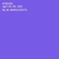 #7859E6 - Blue Marguerite Color Image