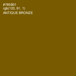 #785B01 - Antique Bronze Color Image