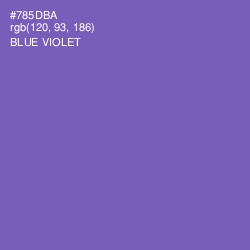 #785DBA - Blue Violet Color Image