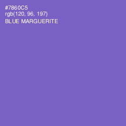 #7860C5 - Blue Marguerite Color Image