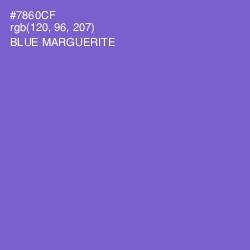 #7860CF - Blue Marguerite Color Image