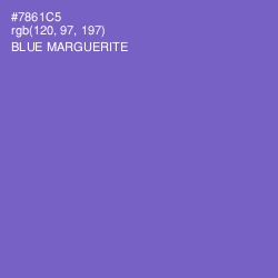 #7861C5 - Blue Marguerite Color Image