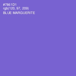 #7861D1 - Blue Marguerite Color Image