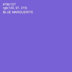 #7861D7 - Blue Marguerite Color Image