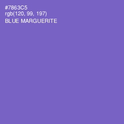 #7863C5 - Blue Marguerite Color Image