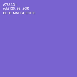 #7863D1 - Blue Marguerite Color Image