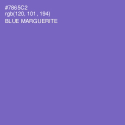 #7865C2 - Blue Marguerite Color Image