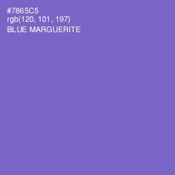 #7865C5 - Blue Marguerite Color Image